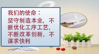 我們的使命：堅(jiān)守制造本業(yè)，不斷優(yōu)化工序工藝，不斷改革創(chuàng)新，不謀求快利